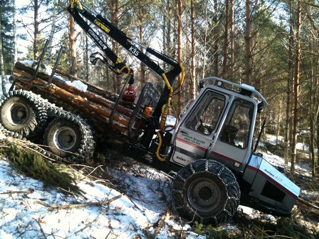 bortforsling av ris och stam på tomt
