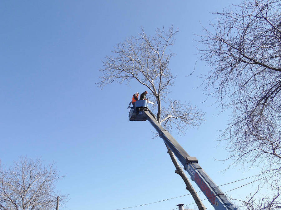 Trädfällning med skylift