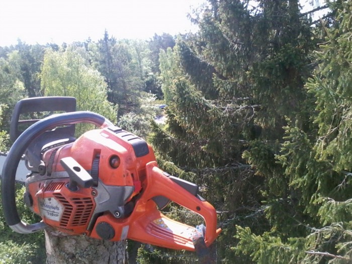 Trädfällning Norrtälje Bergshamra